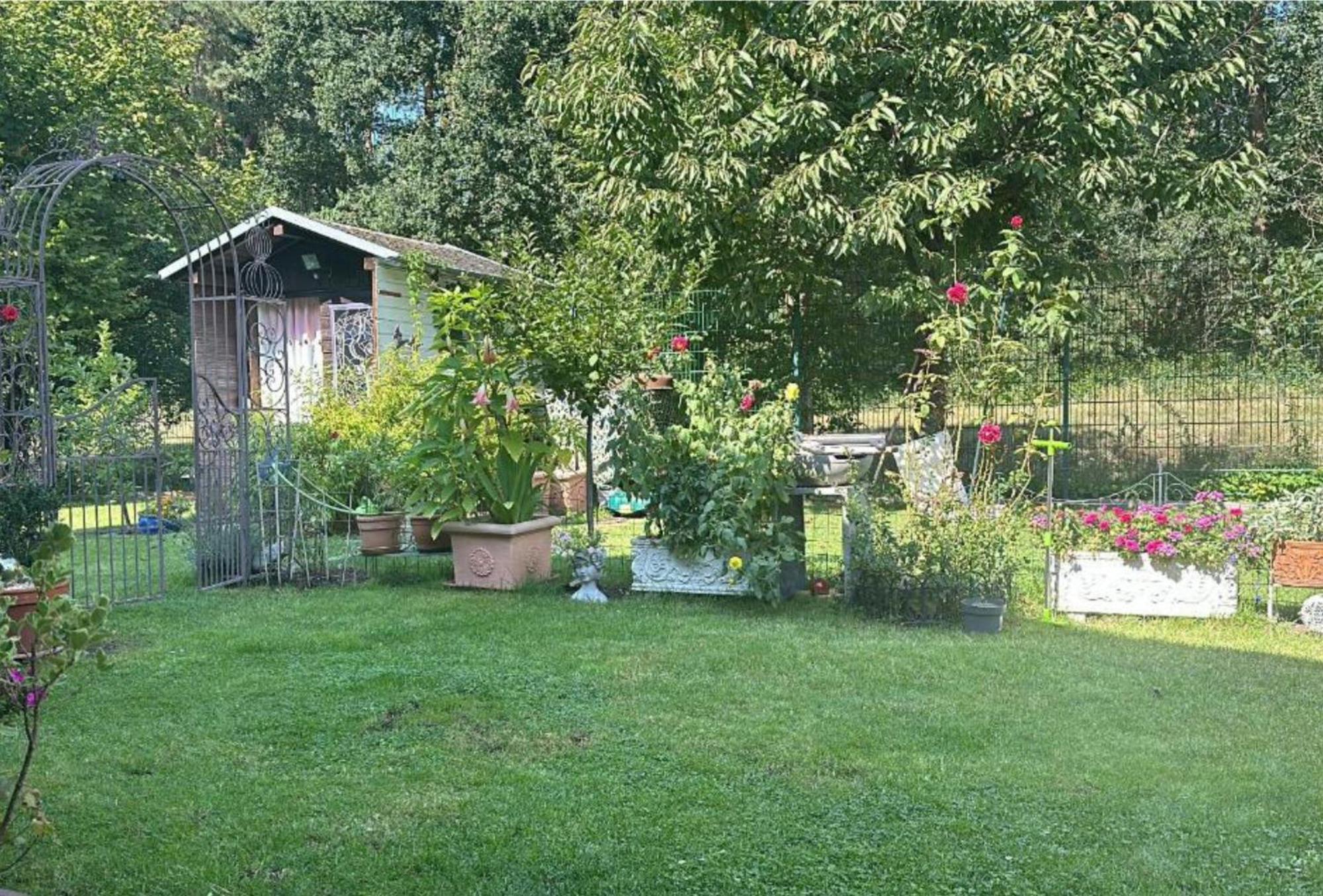 Grosse Helle Wohnung Am Wald In Bad Saarow Nahe Gruenheide Und Berlin Souterrain Exterior foto